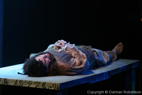 Lion, Witch and the Wardrobe (First Performance) - Photo 20